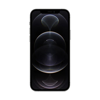 iPhone 12 Pro Max Ricondizionato